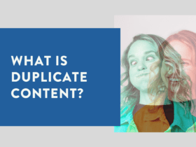 What is duplicate content 3