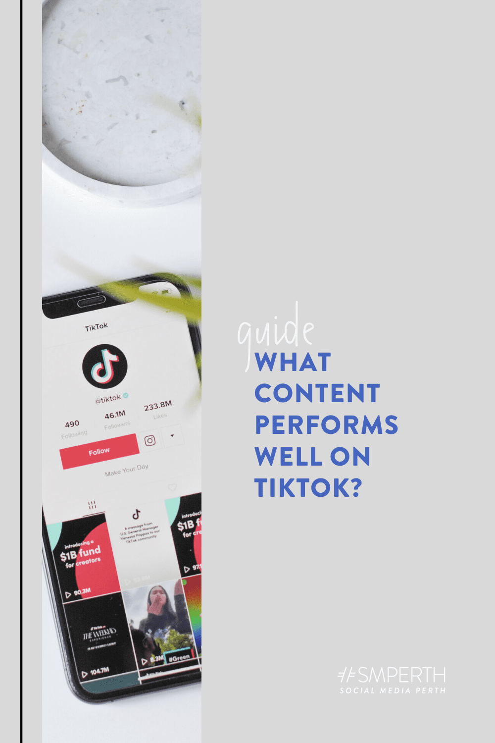 What Content Performs Well on TikTok?