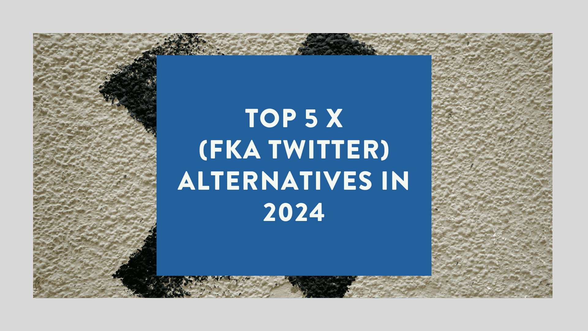 Top 5 X fka Twitter Alternatives in 2024